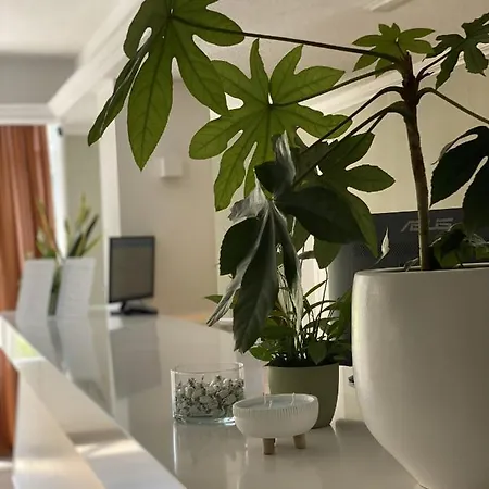 Osprey Menorca Hotel 3*