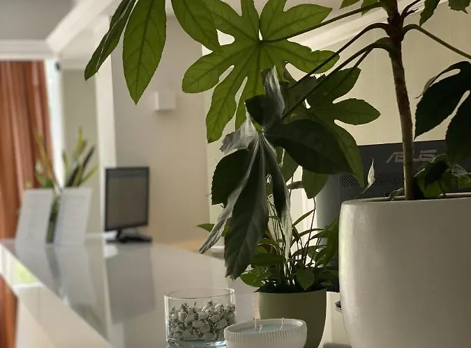 Osprey Menorca Hotel 3*